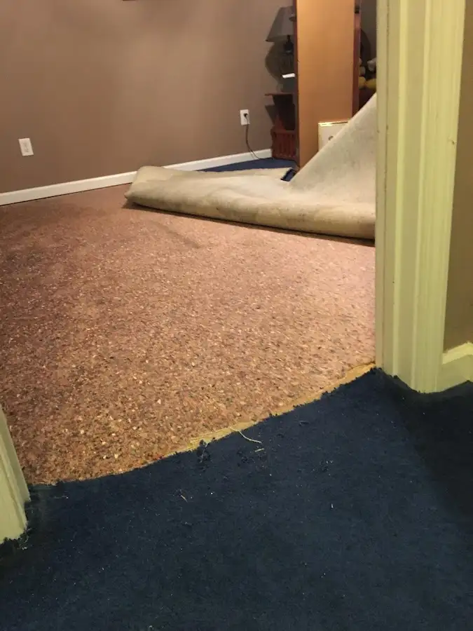Carpet pad removal revealing water damage during Water Mitigation Services in Brown Deer