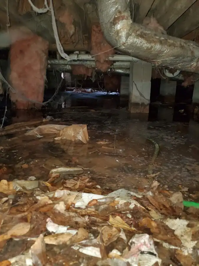 Crawl space flood assessment for Leak Detection & Repair in Brown Deer